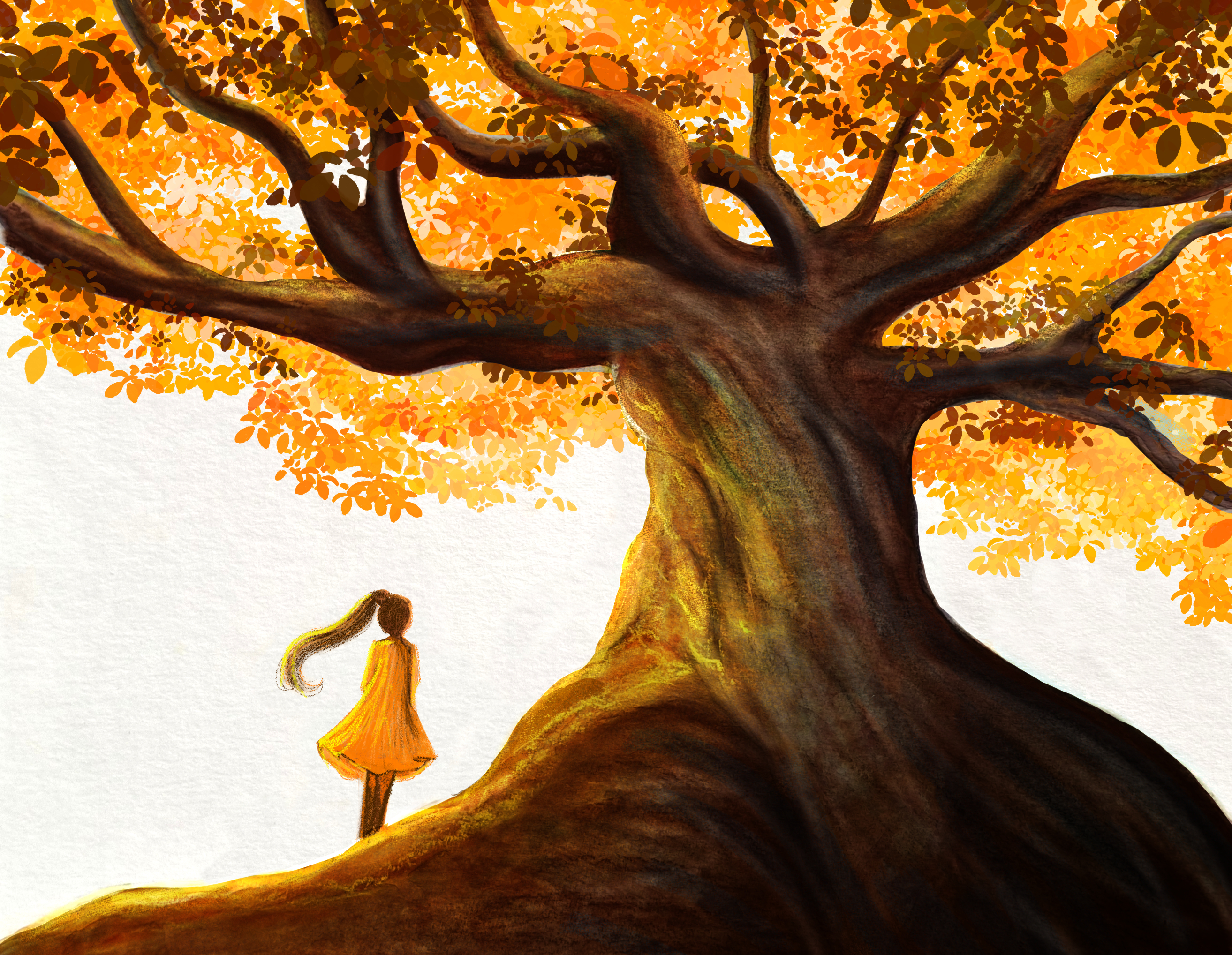 Illustration jeunesse